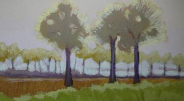 Original Impressionism Landscape Paintings by Anneke Zwager