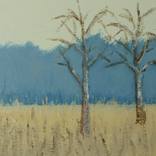 Birches in early spring by Anneke Zwager