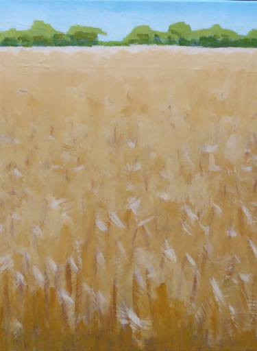 How the barley waves in the wind - Summer landscape thumb
