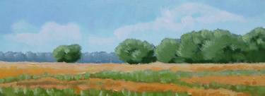 Red fields in summer, oil on block thumb