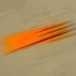 Collection "Motion" by Jürgen Novotny