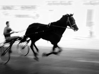 Original Documentary Horse Photography by Jürgen Novotny