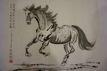 Spirit Horse: Appaloosa Ahead of the Wind thumb