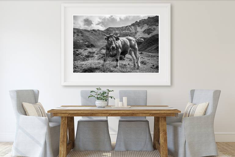 Original Contemporary Animal Photography by Lavonne Bosman