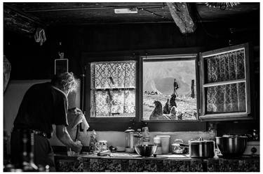 Chickens by the window, original, black and white wall art thumb