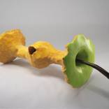 TROGNON VERT by Philippe Bruneteau