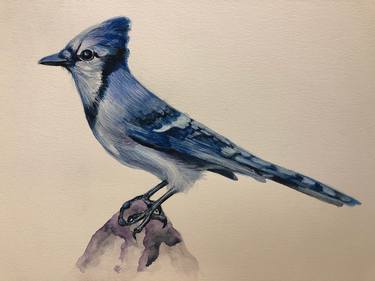 Original Animal Paintings by Jennie Smallenbroek