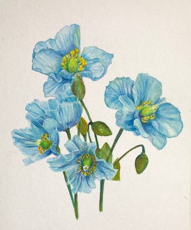 Saatchi Art Artist Jennie Smallenbroek; Painting, “Blue Himalayan Poppies” #art