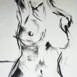 No Name Nude by Stefan Falca