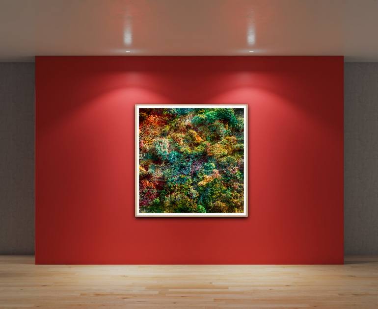 Original Abstract Expressionism Botanic Photography by Viet Ha Tran