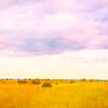 Collection LANDSCAPES TO DREAM IN