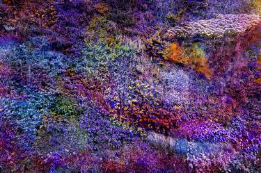 Original Abstract Expressionism Botanic Photography by Viet Ha Tran