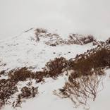 Collection LANDSCAPES TO DREAM IN
