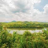 Collection LANDSCAPES TO DREAM IN