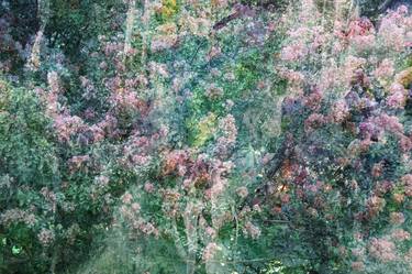 Original Impressionism Botanic Photography by Viet Ha Tran