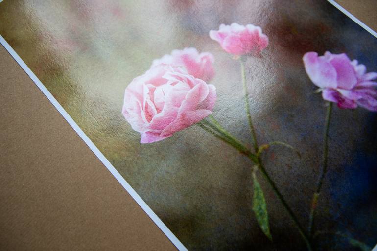 Original Expressionism Botanic Photography by Viet Ha Tran