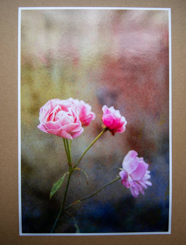 Original Expressionism Botanic Photography by Viet Ha Tran