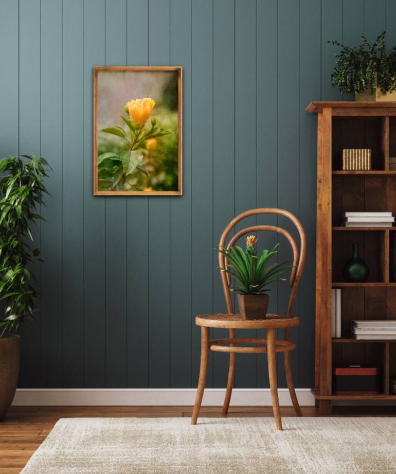 Original Expressionism Botanic Photography by Viet Ha Tran