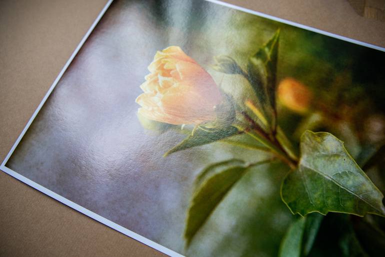 Original Expressionism Botanic Photography by Viet Ha Tran