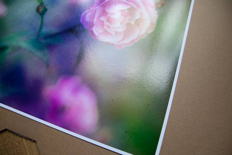 Original Expressionism Botanic Photography by Viet Ha Tran