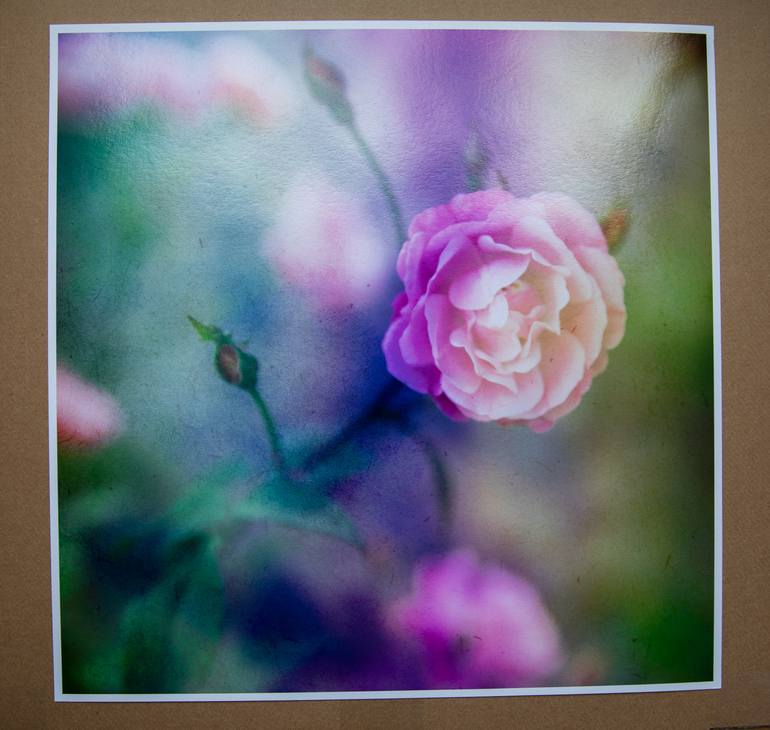 Original Expressionism Botanic Photography by Viet Ha Tran