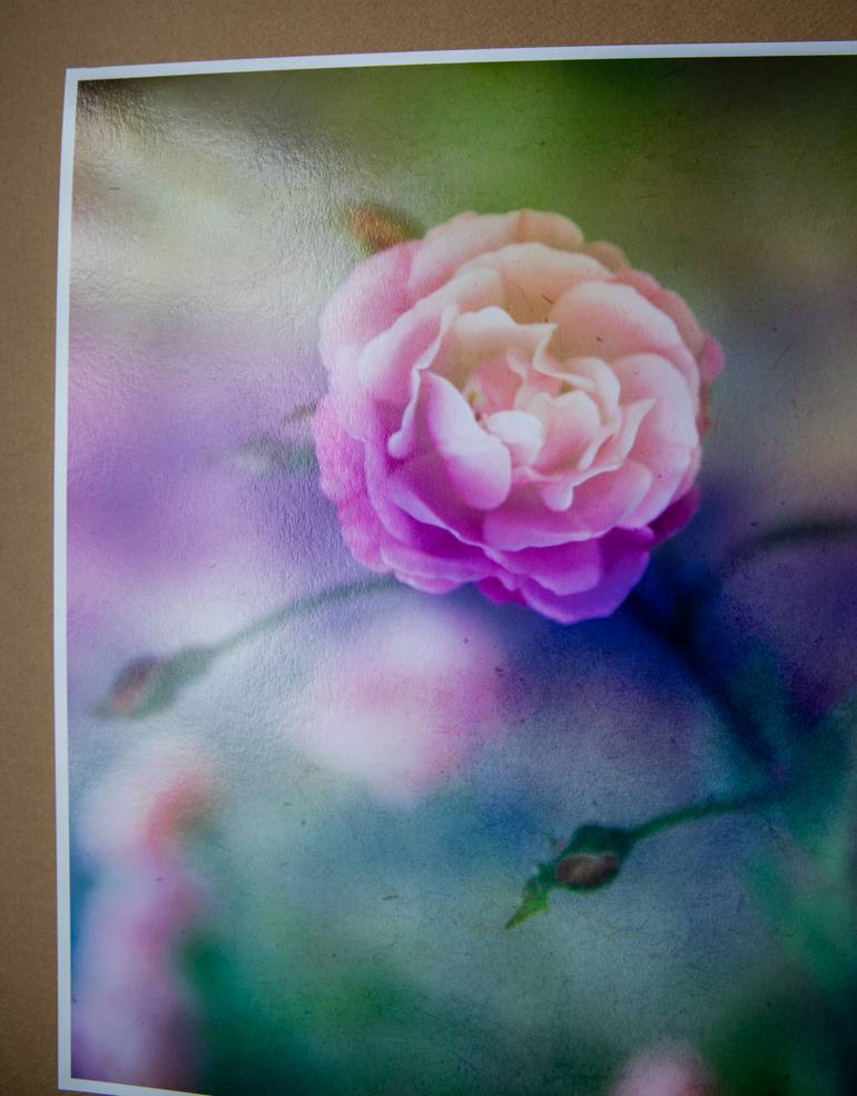 Original Expressionism Botanic Photography by Viet Ha Tran