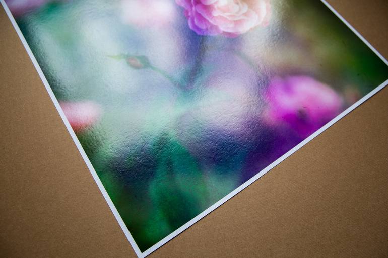 Original Expressionism Botanic Photography by Viet Ha Tran