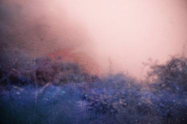 Original Impressionism Botanic Photography by Viet Ha Tran