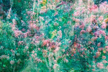 Original Impressionism Botanic Photography by Viet Ha Tran