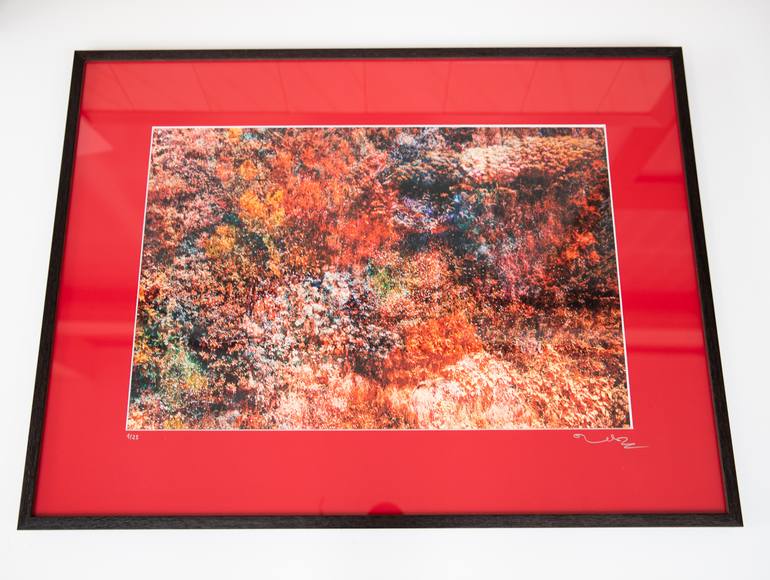 Original Abstract Expressionism Botanic Photography by Viet Ha Tran