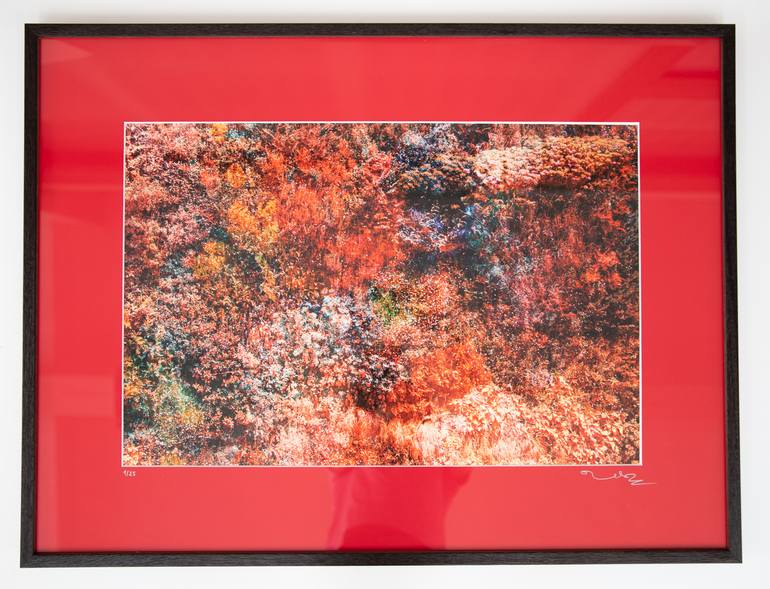 Original Abstract Expressionism Botanic Photography by Viet Ha Tran