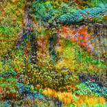 (Masterpiece Edition) Wall of Nature LXIII by Viet Ha Tran