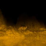 Echoes in Gold I by Viet Ha Tran