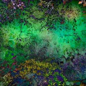 Shades of Dreams XXXII