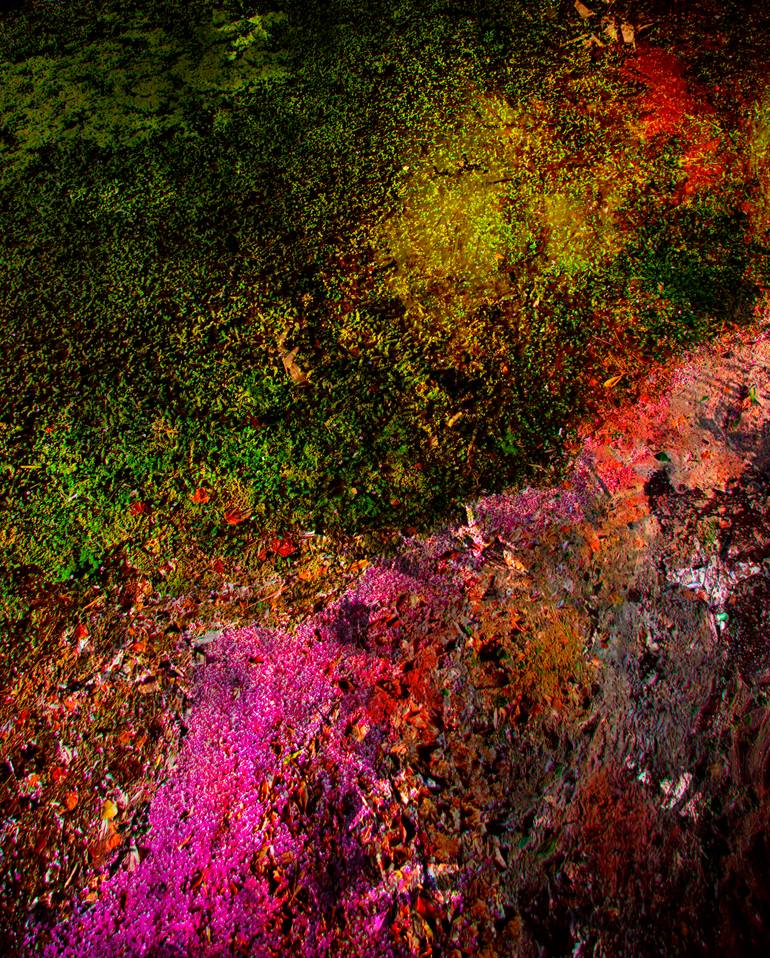 Original Nature Photography by Viet Ha Tran | Abstract Expressionism Art on Paper | Colors of the Lake, Limited Edition of 7