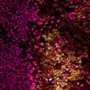 Collection Organic Feels & Natural Textures