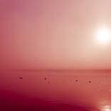 Collection Redefining Landscapes
