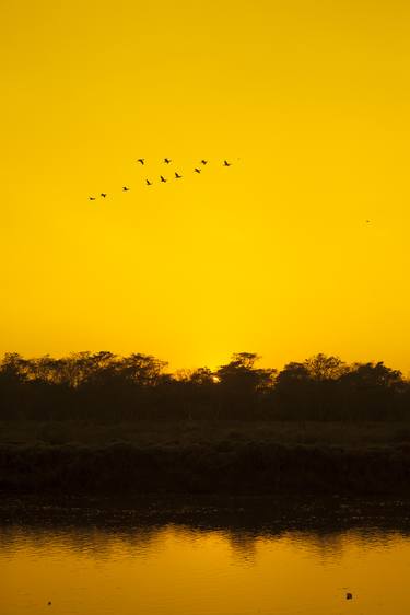 Sunset in Chitwan - Limited Edition of 10 thumb