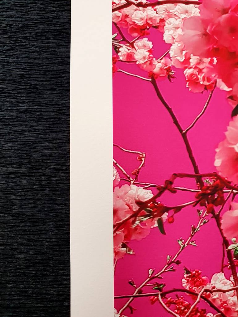 Original Abstract Floral Photography by Viet Ha Tran