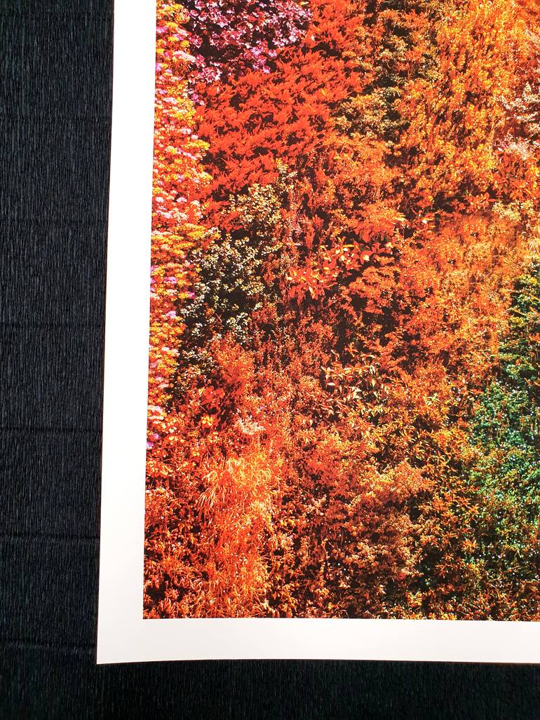 Original Abstract Botanic Photography by Viet Ha Tran