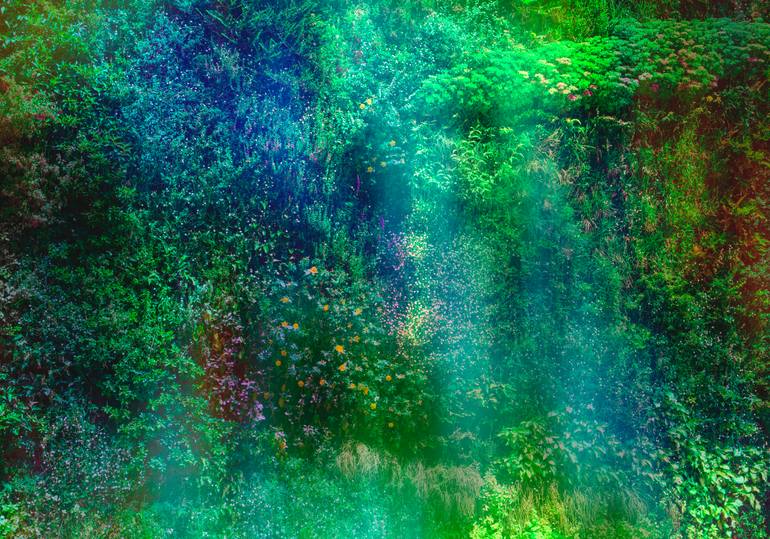 Original Abstract Botanic Photography by Viet Ha Tran