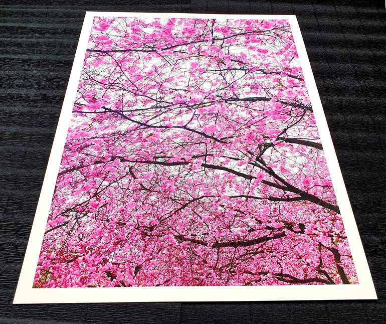 Original Abstract Floral Photography by Viet Ha Tran