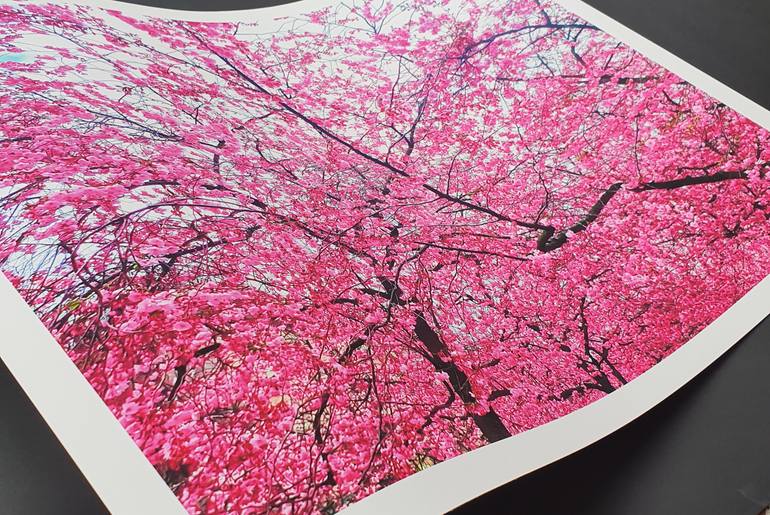 Original Abstract Floral Photography by Viet Ha Tran