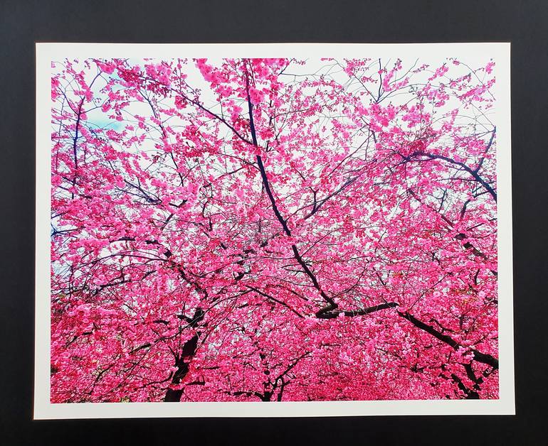 Original Abstract Floral Photography by Viet Ha Tran