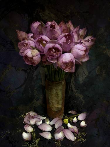 Original Floral Photography by Viet Ha Tran