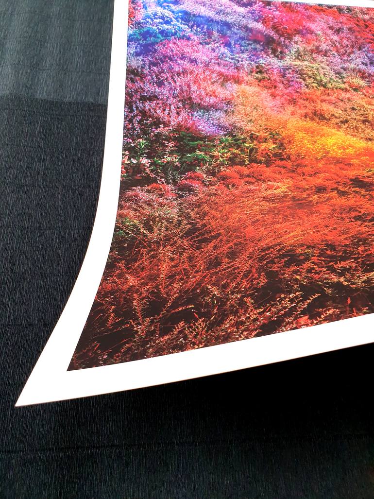 Original Abstract Botanic Photography by Viet Ha Tran