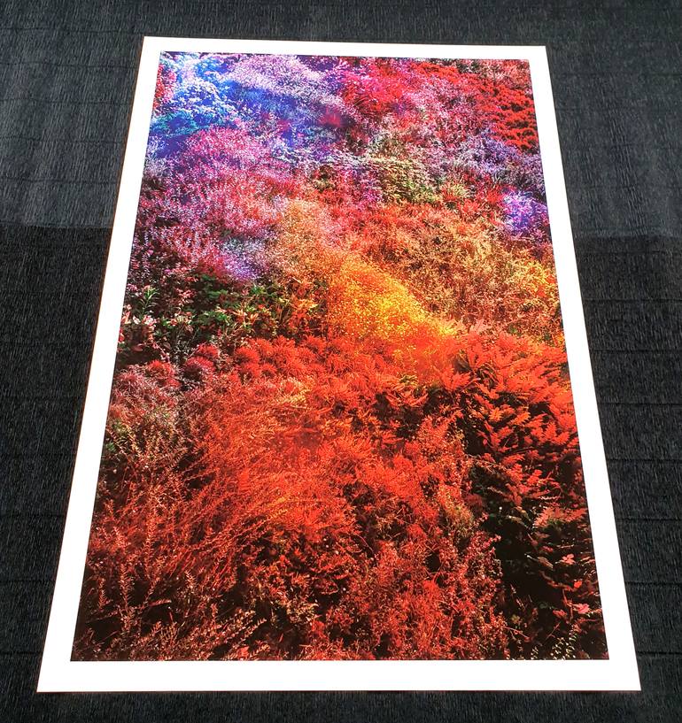 Original Abstract Botanic Photography by Viet Ha Tran