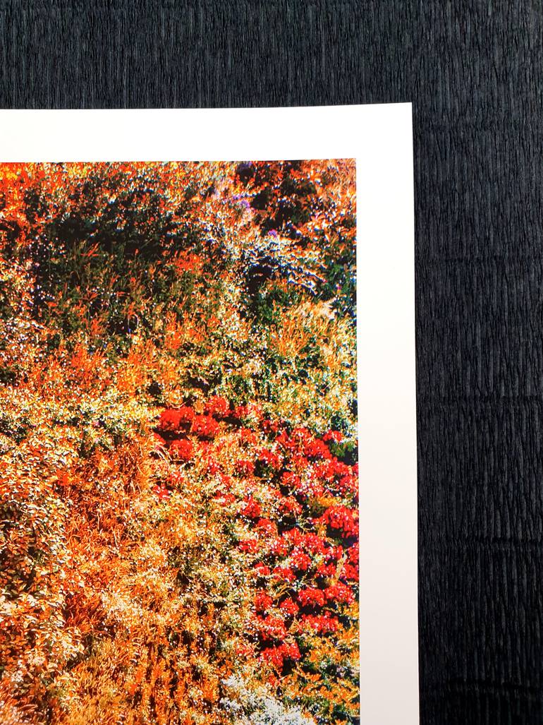 Original Abstract Botanic Photography by Viet Ha Tran