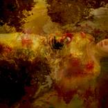 Collection Dreams of Ophelia