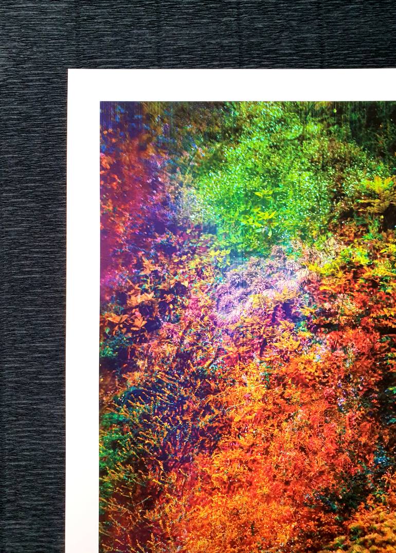 Original Abstract Botanic Photography by Viet Ha Tran